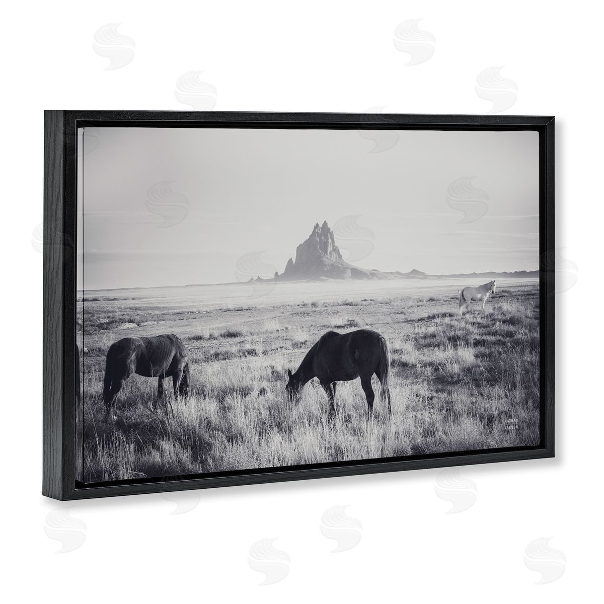 Nathan Larson | Western Range with Horses