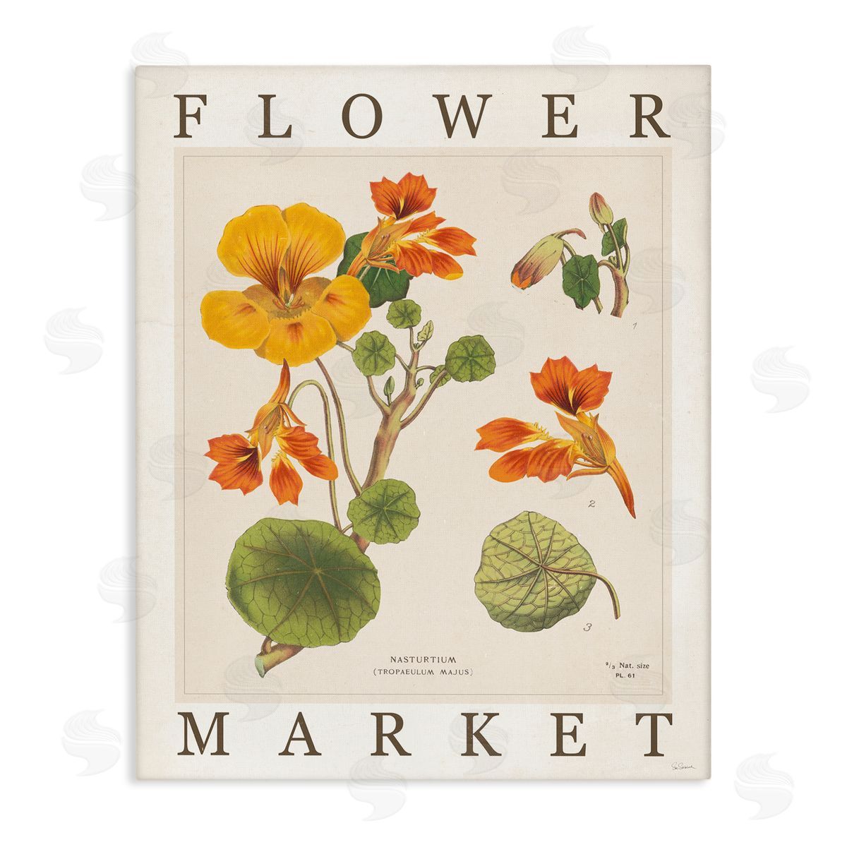 Sue Schlabach | Vintage Flower Market Blossoms