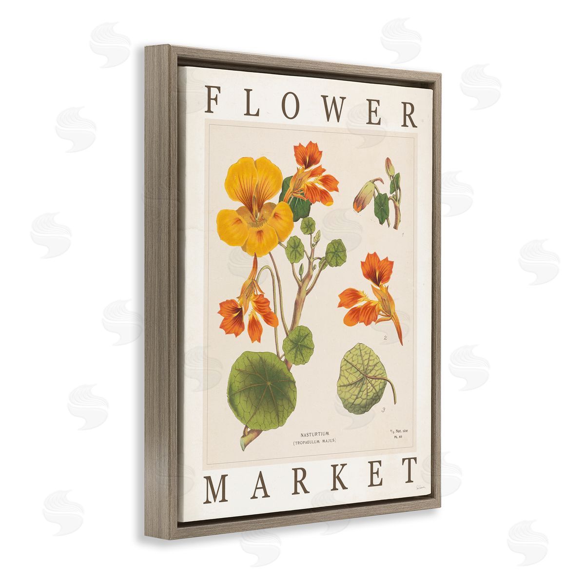 Sue Schlabach | Vintage Flower Market Blossoms