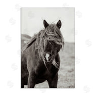 Deborah Revell | Wild Pony with Windy Mane