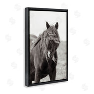 Deborah Revell | Wild Pony with Windy Mane
