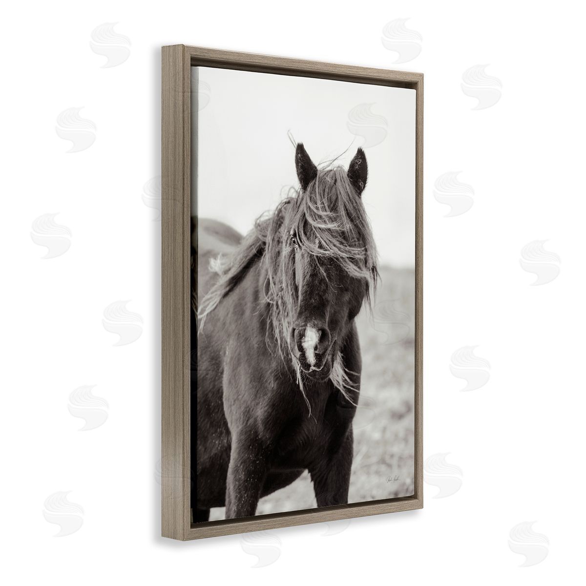 Deborah Revell | Wild Pony with Windy Mane