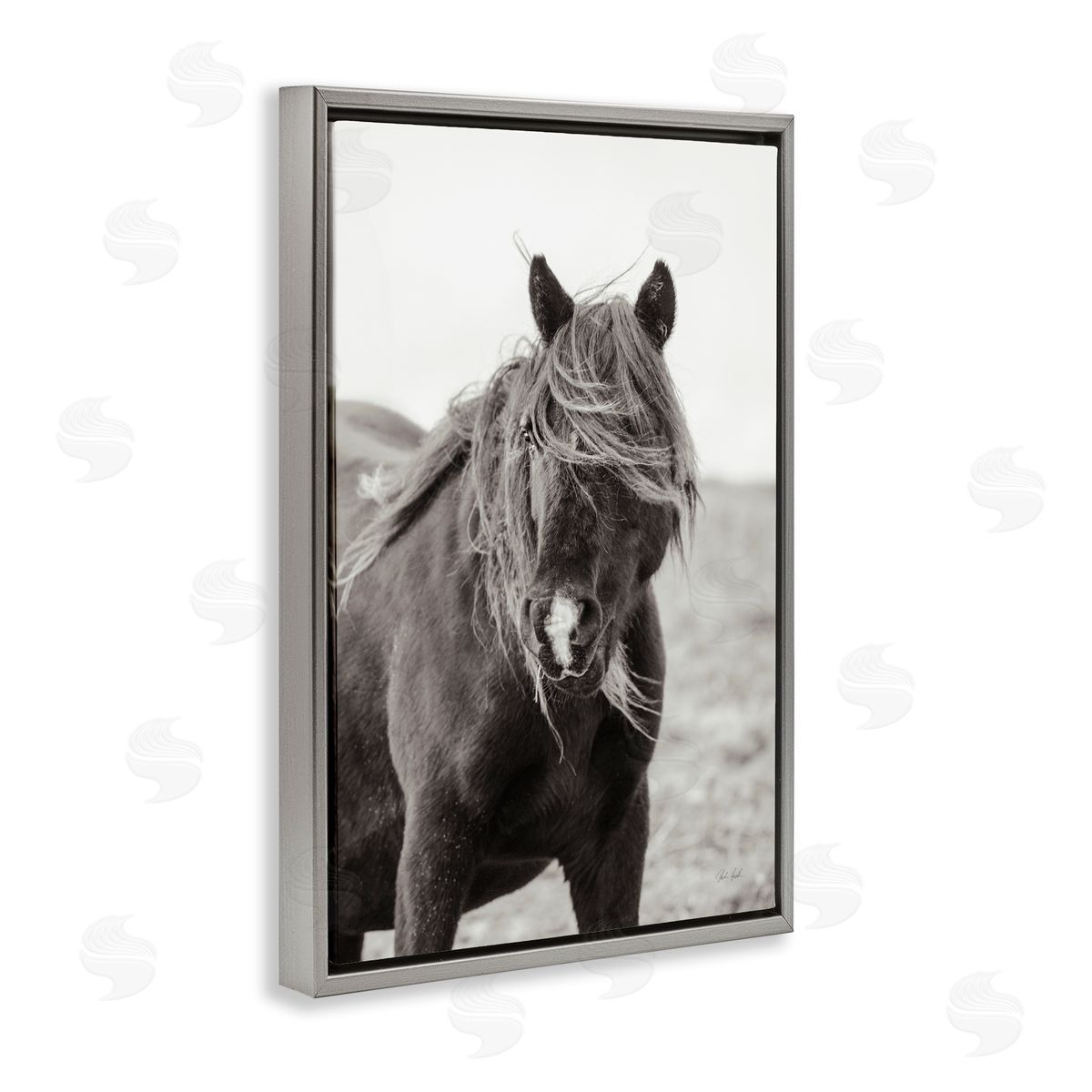 Deborah Revell | Wild Pony with Windy Mane