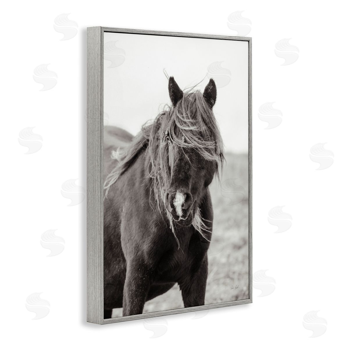 Deborah Revell | Wild Pony with Windy Mane