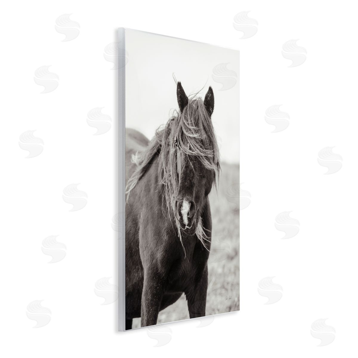 Deborah Revell | Wild Pony with Windy Mane