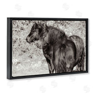 Deborah Revell | Dartmoor Ponies Duo