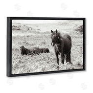 Deborah Revell | Dartmoor Ponies Lounging
