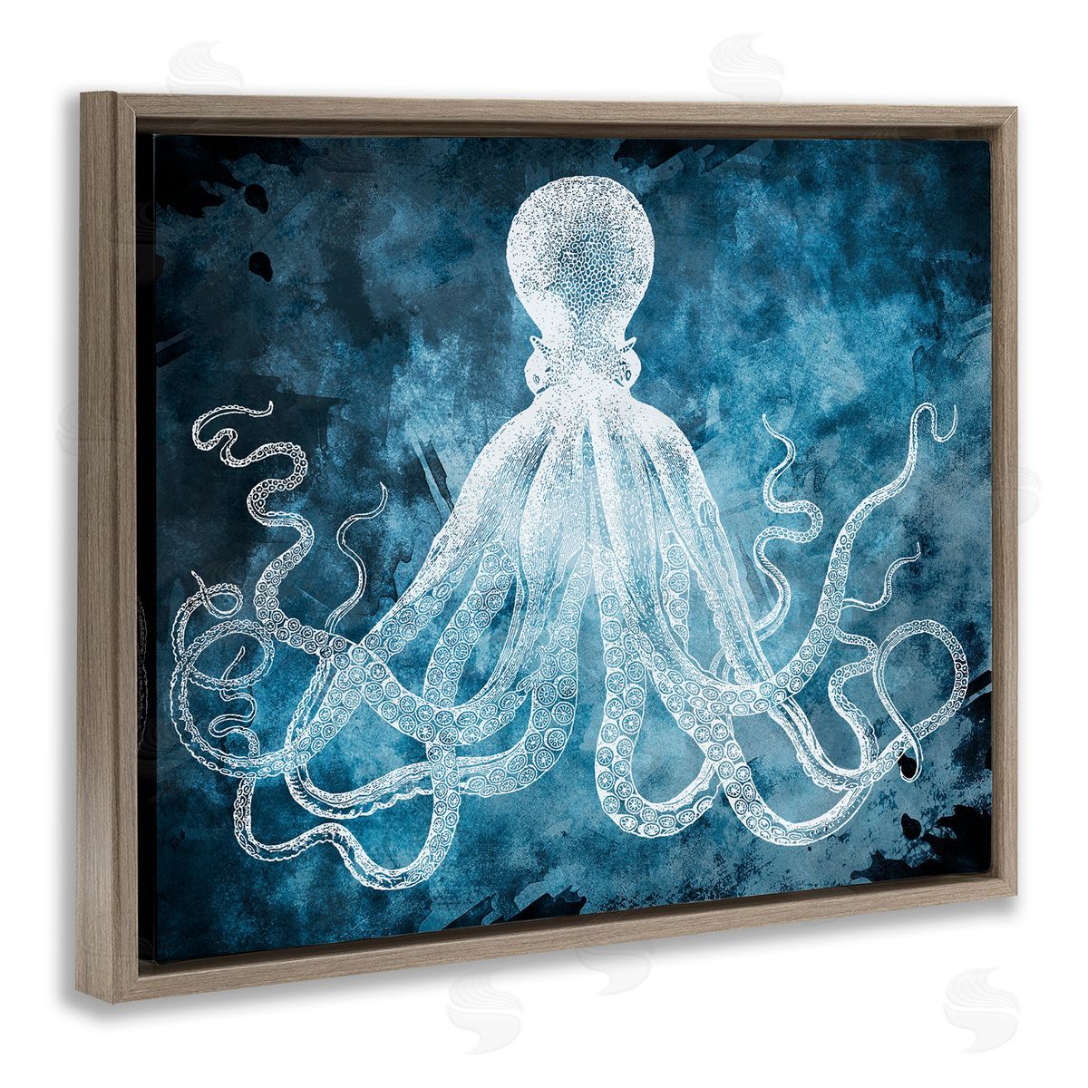 Marcus Jules | Curled Octopus Tentacles