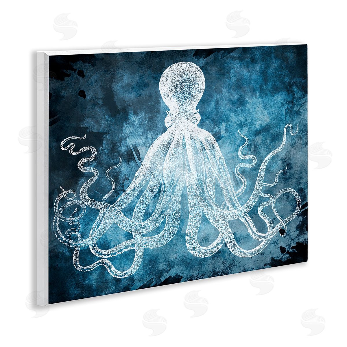 Marcus Jules | Curled Octopus Tentacles