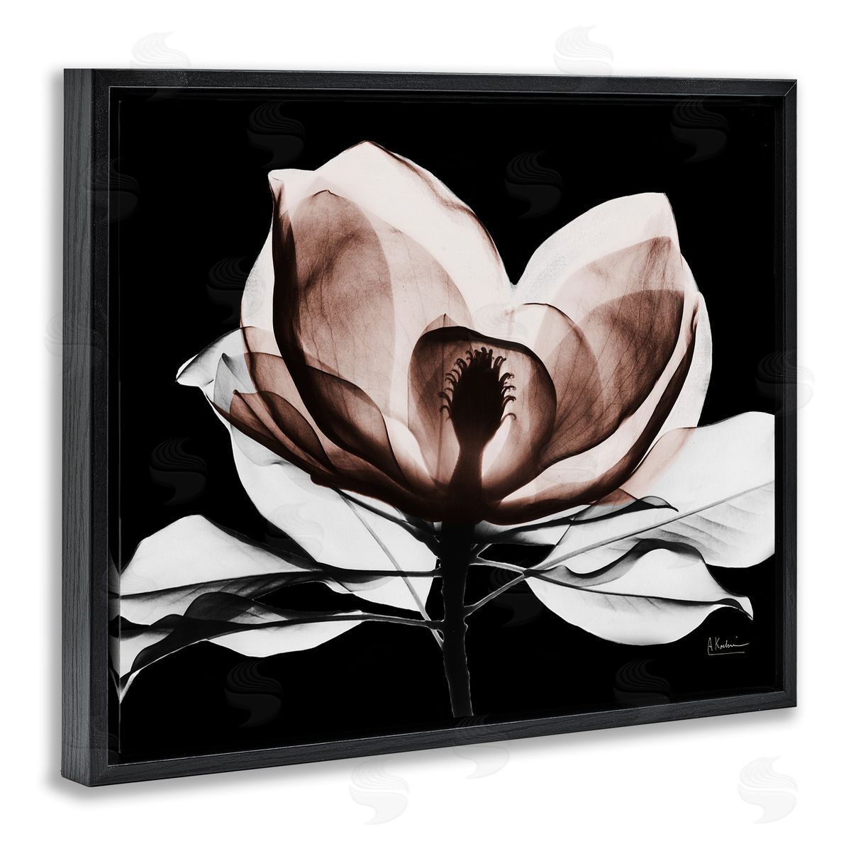 Albert Koetsier | Modern Mocha Magnolia