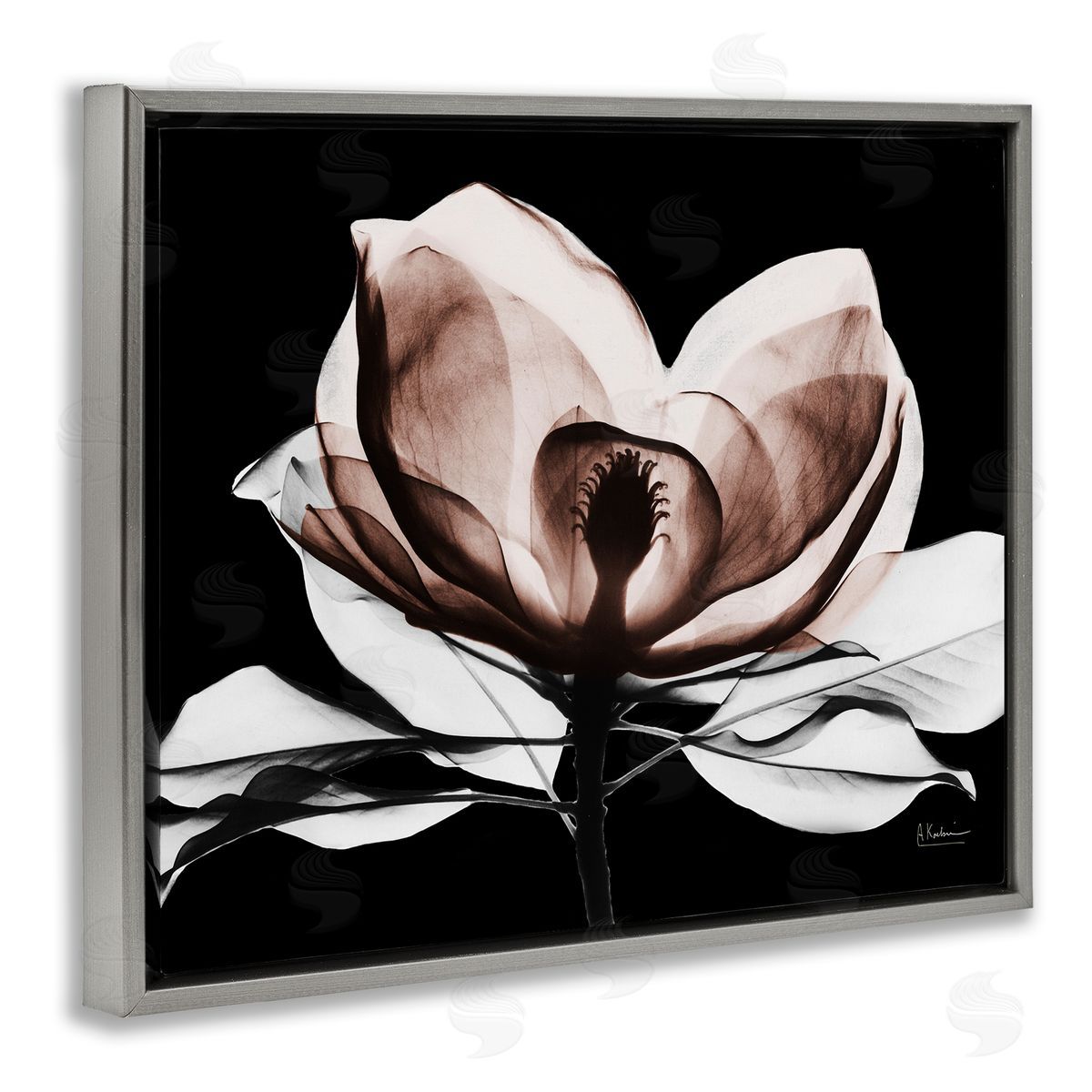Albert Koetsier | Modern Mocha Magnolia