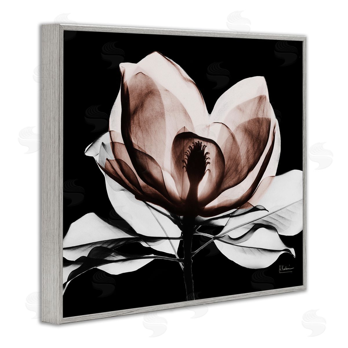 Albert Koetsier | Modern Mocha Magnolia