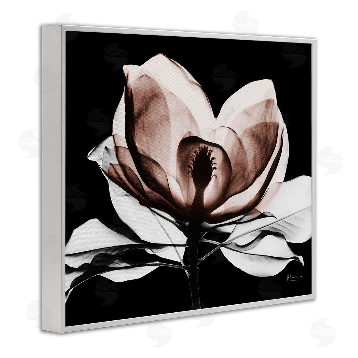 Albert Koetsier | Modern Mocha Magnolia