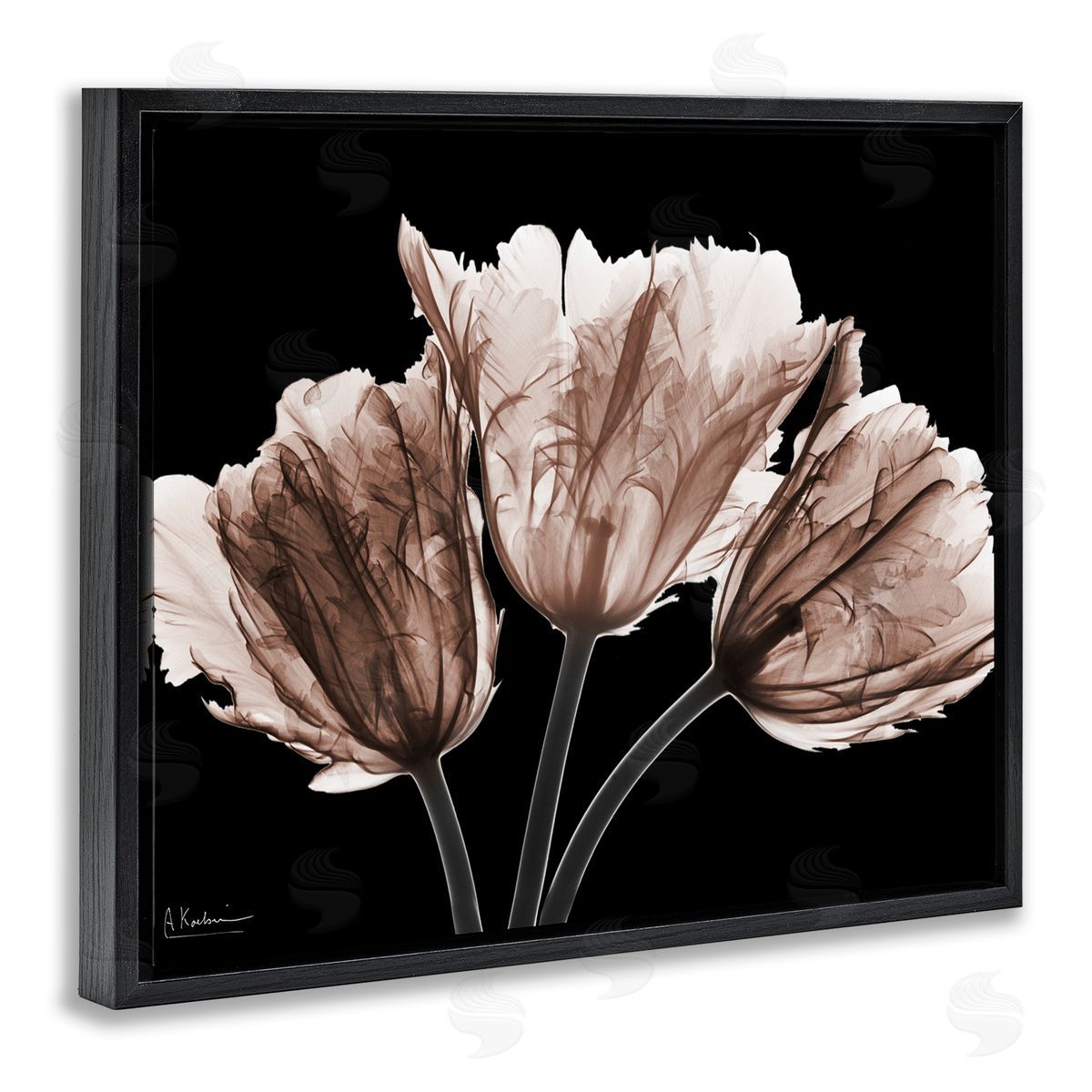 Albert Koetsier | Crisp Tulips on Black