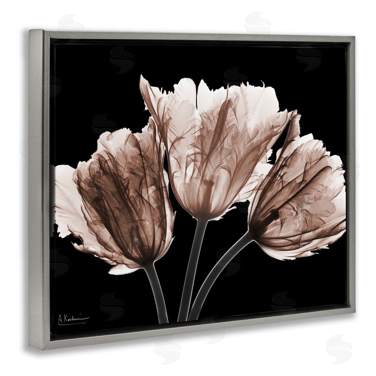 Albert Koetsier | Crisp Tulips on Black
