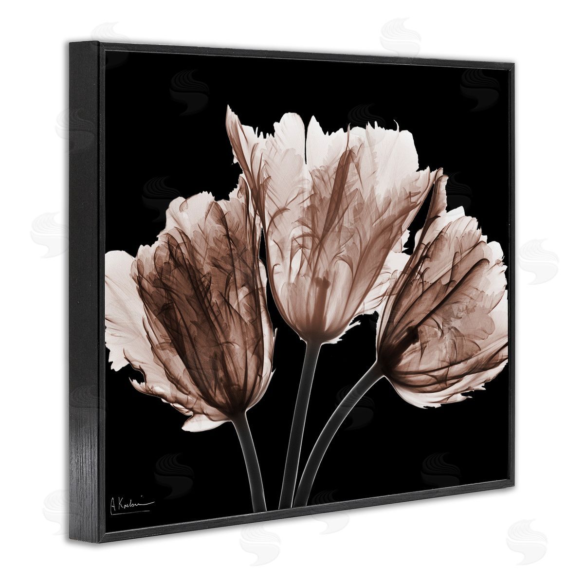 Albert Koetsier | Crisp Tulips on Black