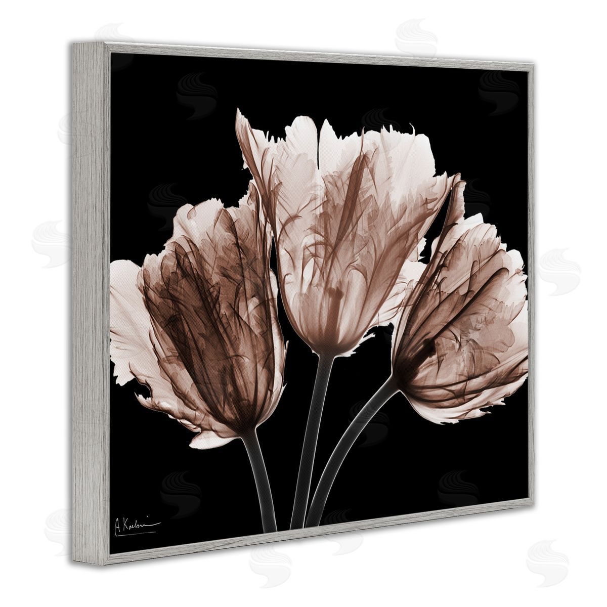 Albert Koetsier | Crisp Tulips on Black