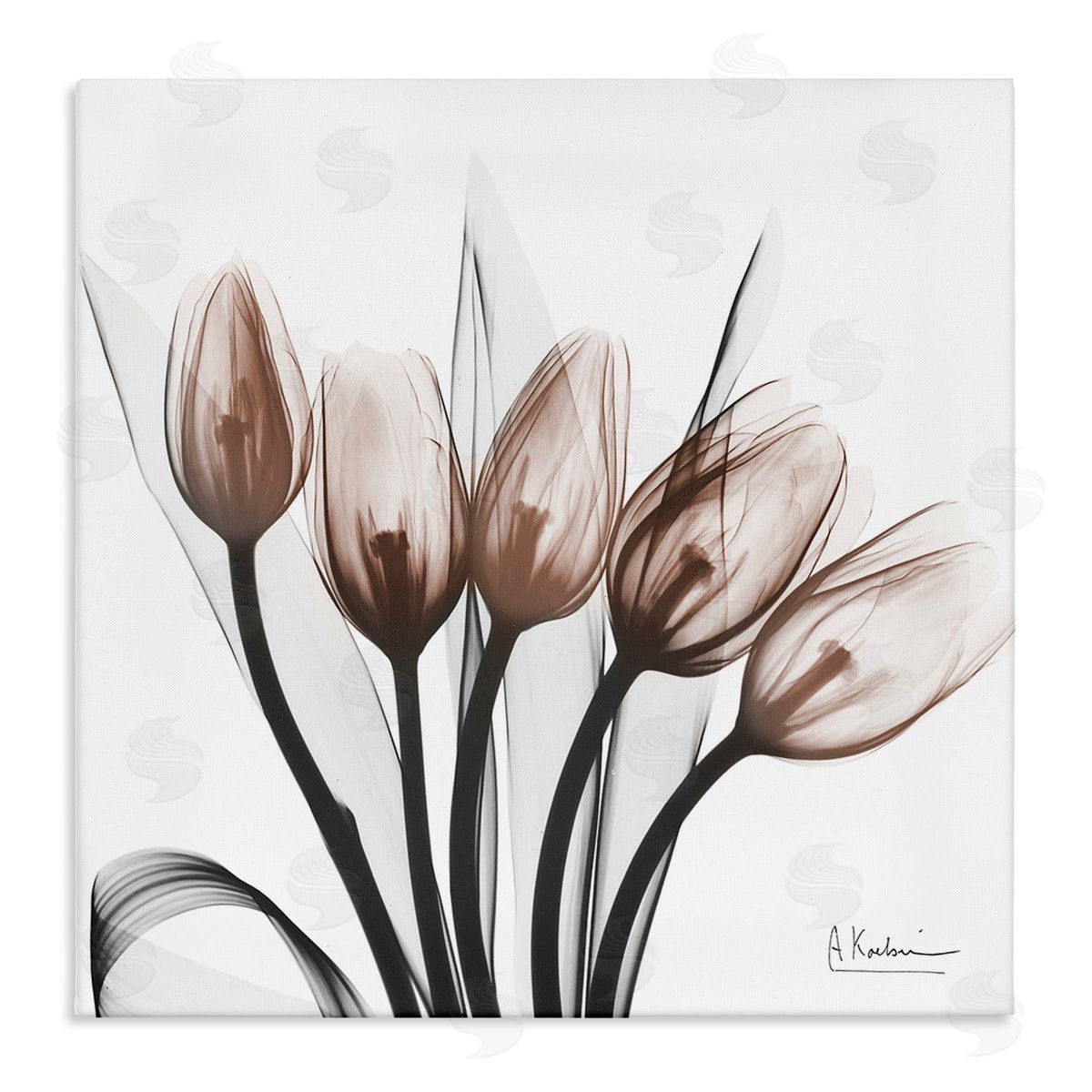 Albert Koetsier | Modern Lined Up Tulips