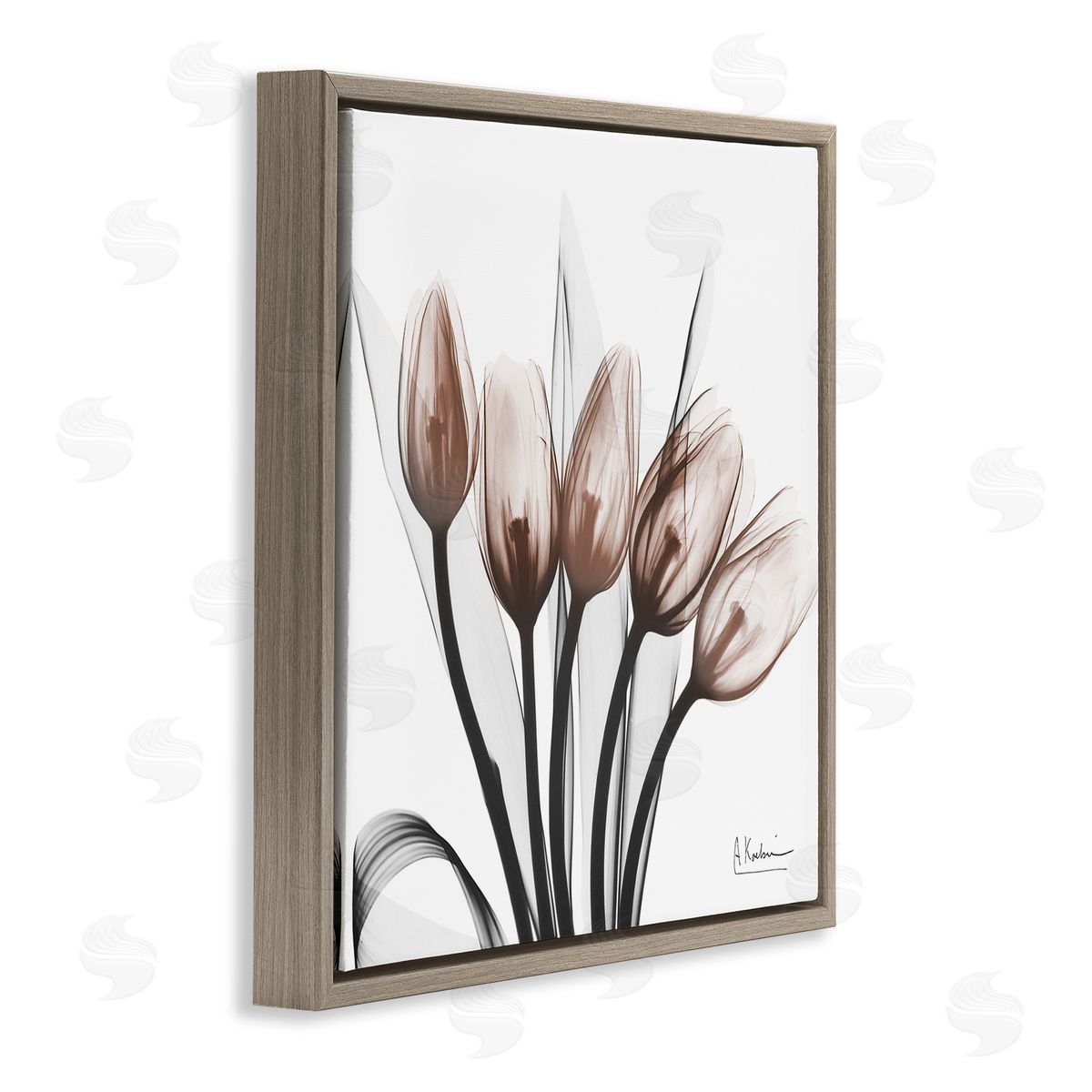 Albert Koetsier | Modern Lined Up Tulips