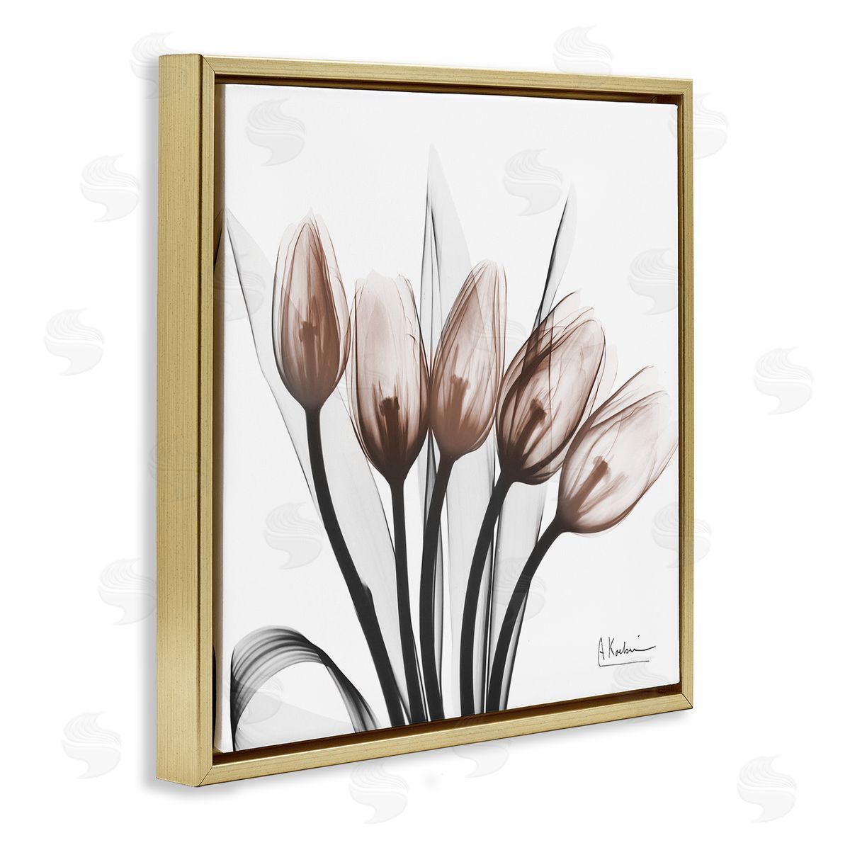 Albert Koetsier | Modern Lined Up Tulips