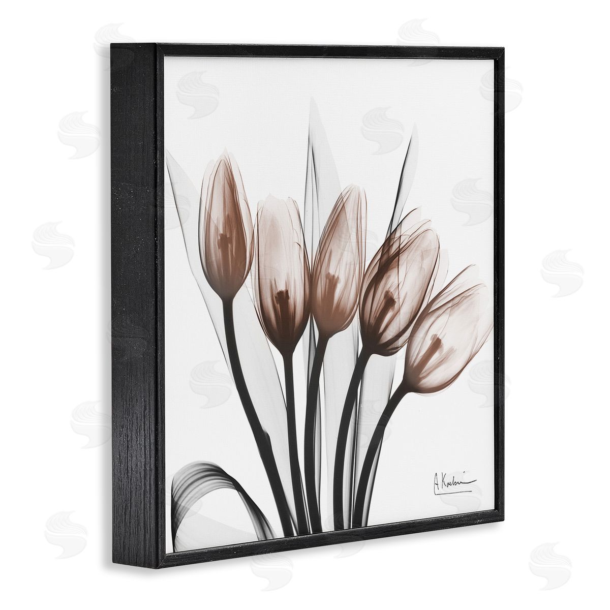 Albert Koetsier | Modern Lined Up Tulips