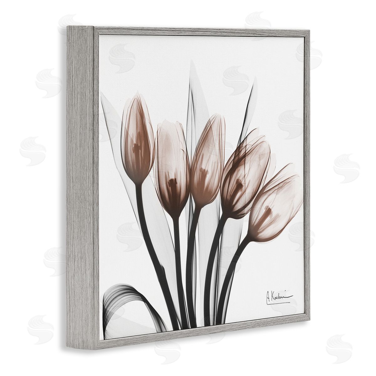 Albert Koetsier | Modern Lined Up Tulips