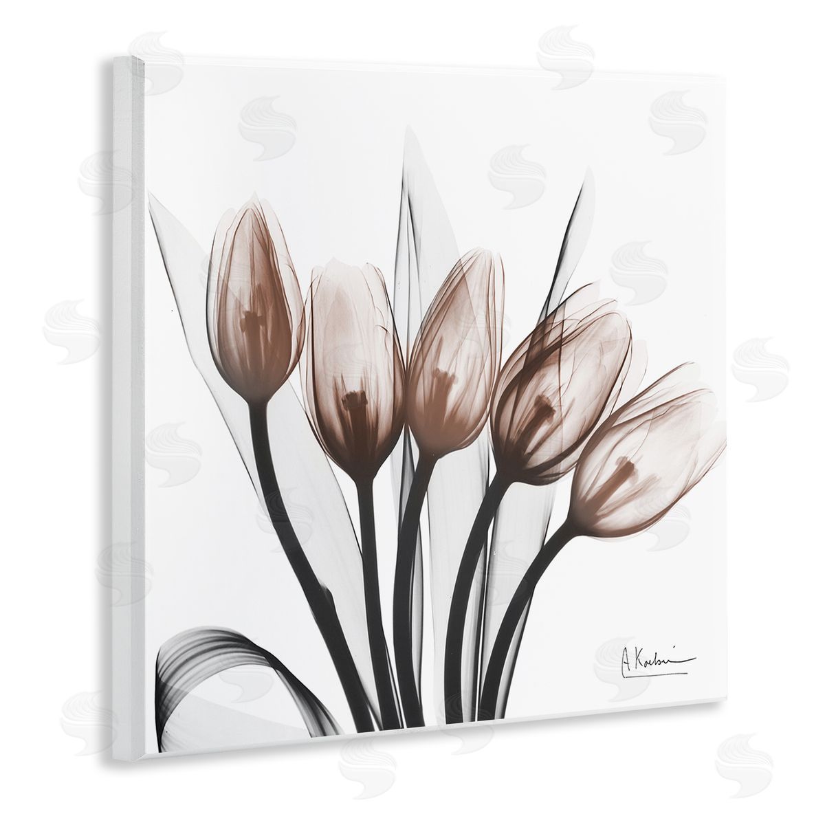 Albert Koetsier | Modern Lined Up Tulips