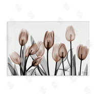 Albert Koetsier | Dramatic Mocha Tulips