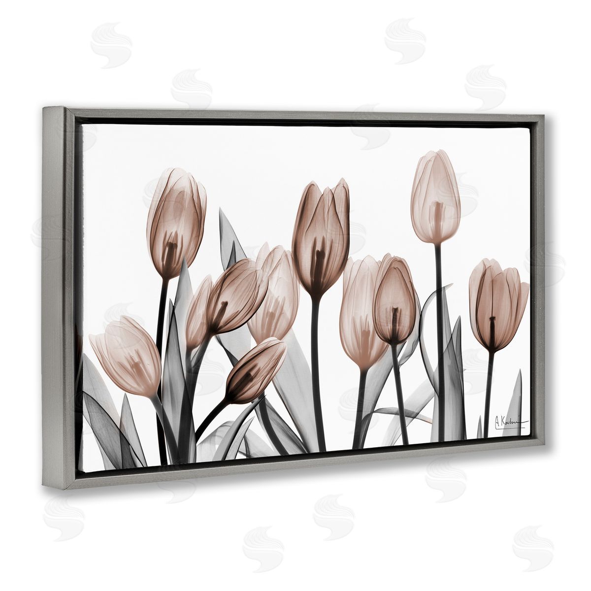 Albert Koetsier | Dramatic Mocha Tulips