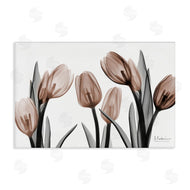 Albert Koetsier | Mocha & Discovery Tulips