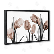 Albert Koetsier | Mocha & Discovery Tulips