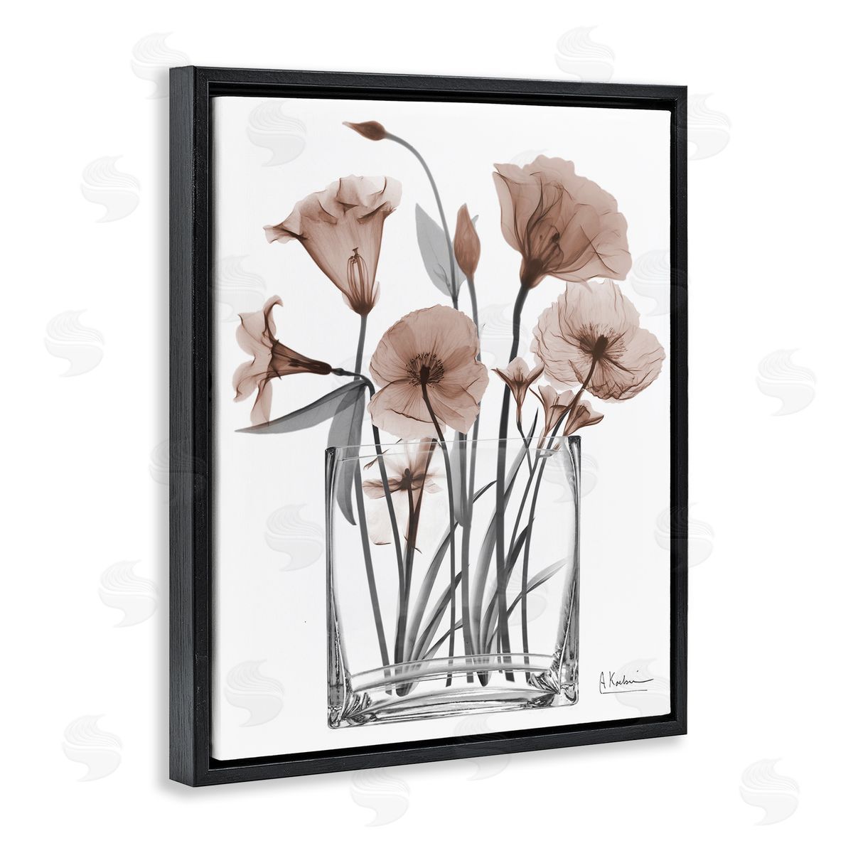 Albert Koetsier | Opaque Mocha Flowers