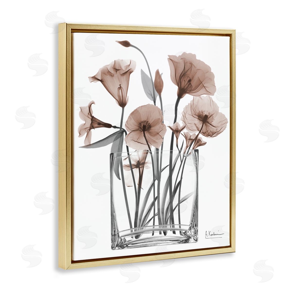 Albert Koetsier | Opaque Mocha Flowers