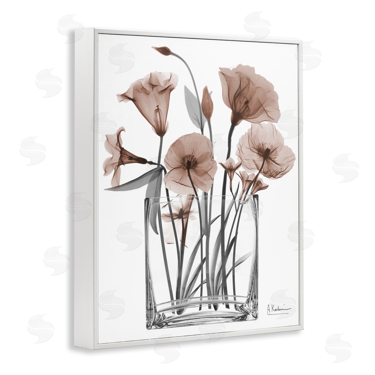 Albert Koetsier | Opaque Mocha Flowers