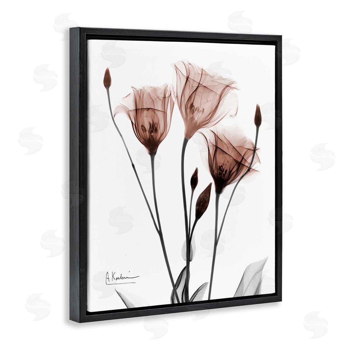Albert Koetsier | Minimal Translucent Tulips