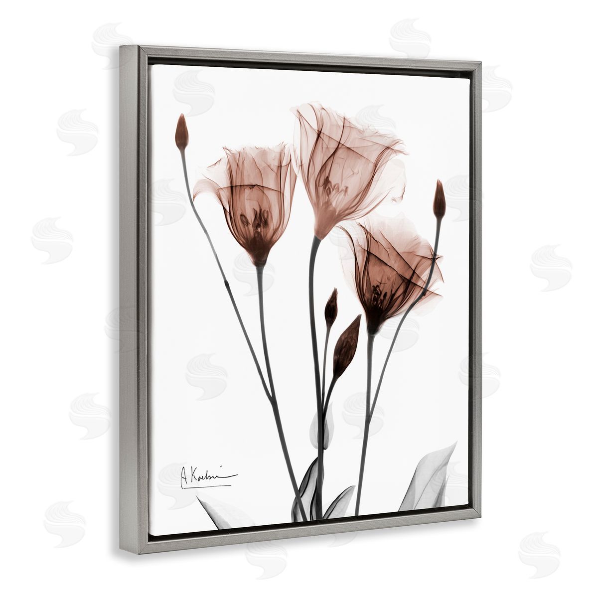 Albert Koetsier | Minimal Translucent Tulips