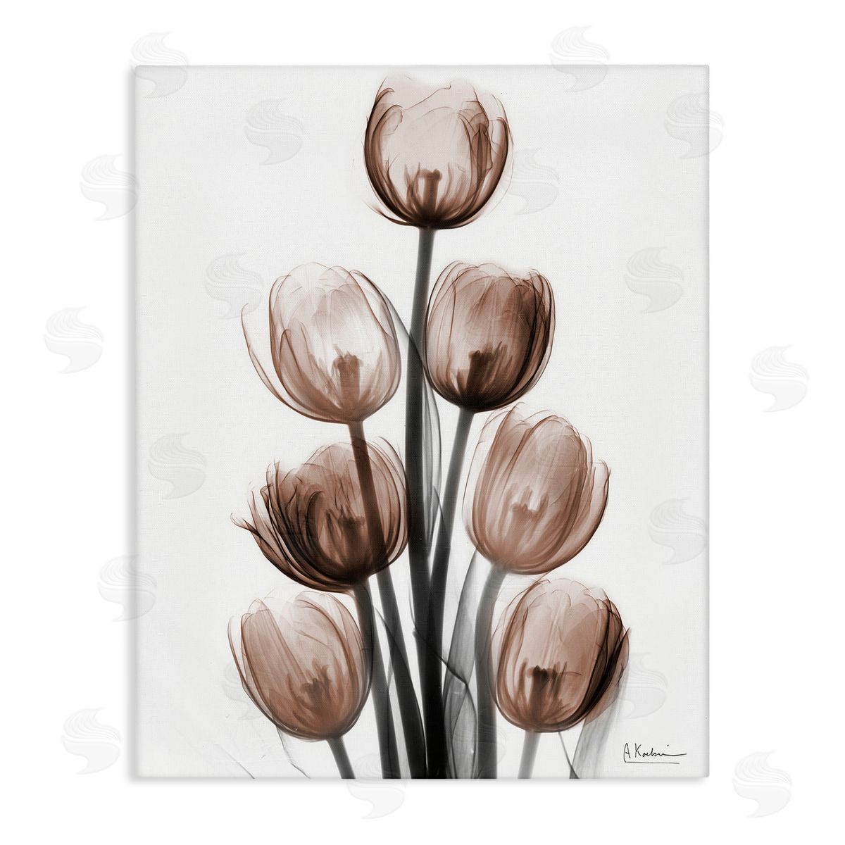 Albert Koetsier | Delightful Mocha Tulips