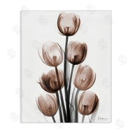 Albert Koetsier | Delightful Mocha Tulips