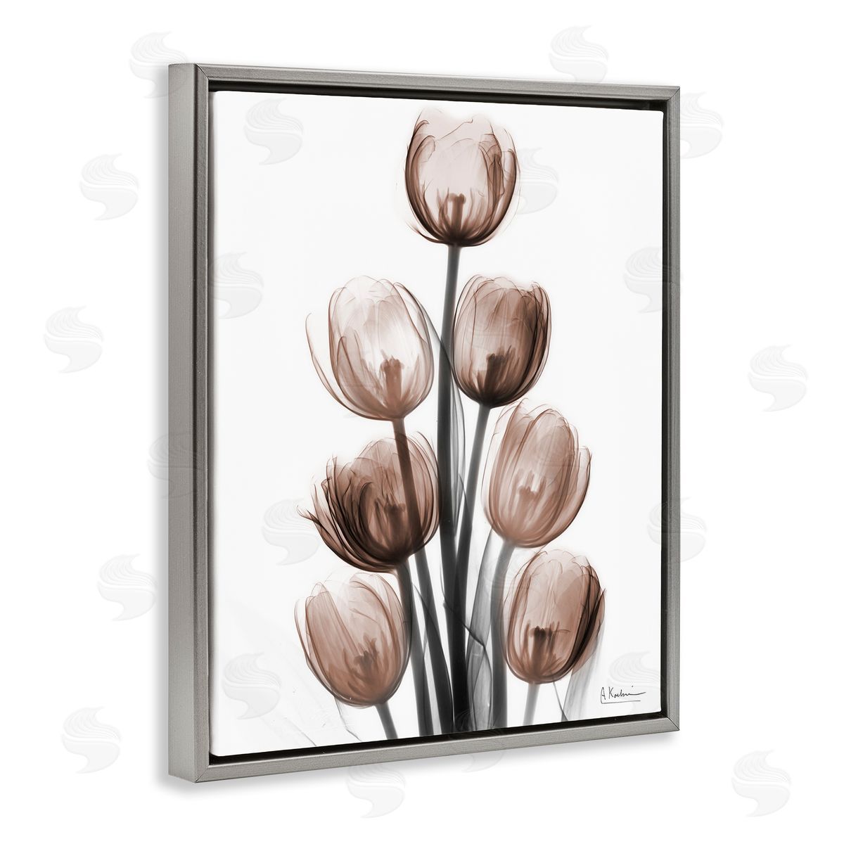 Albert Koetsier | Delightful Mocha Tulips