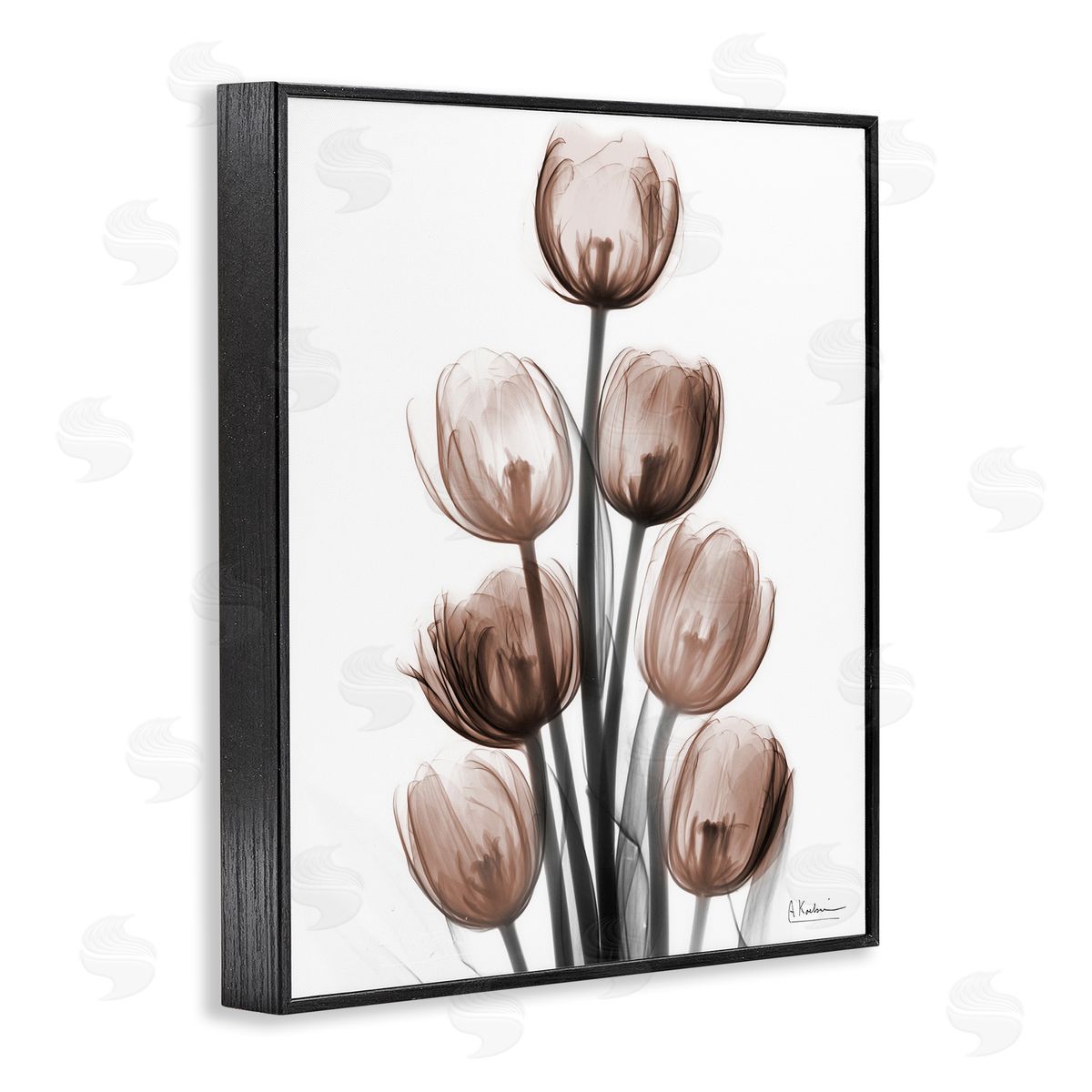 Albert Koetsier | Delightful Mocha Tulips