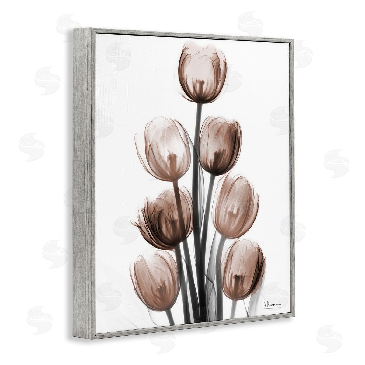 Albert Koetsier | Delightful Mocha Tulips