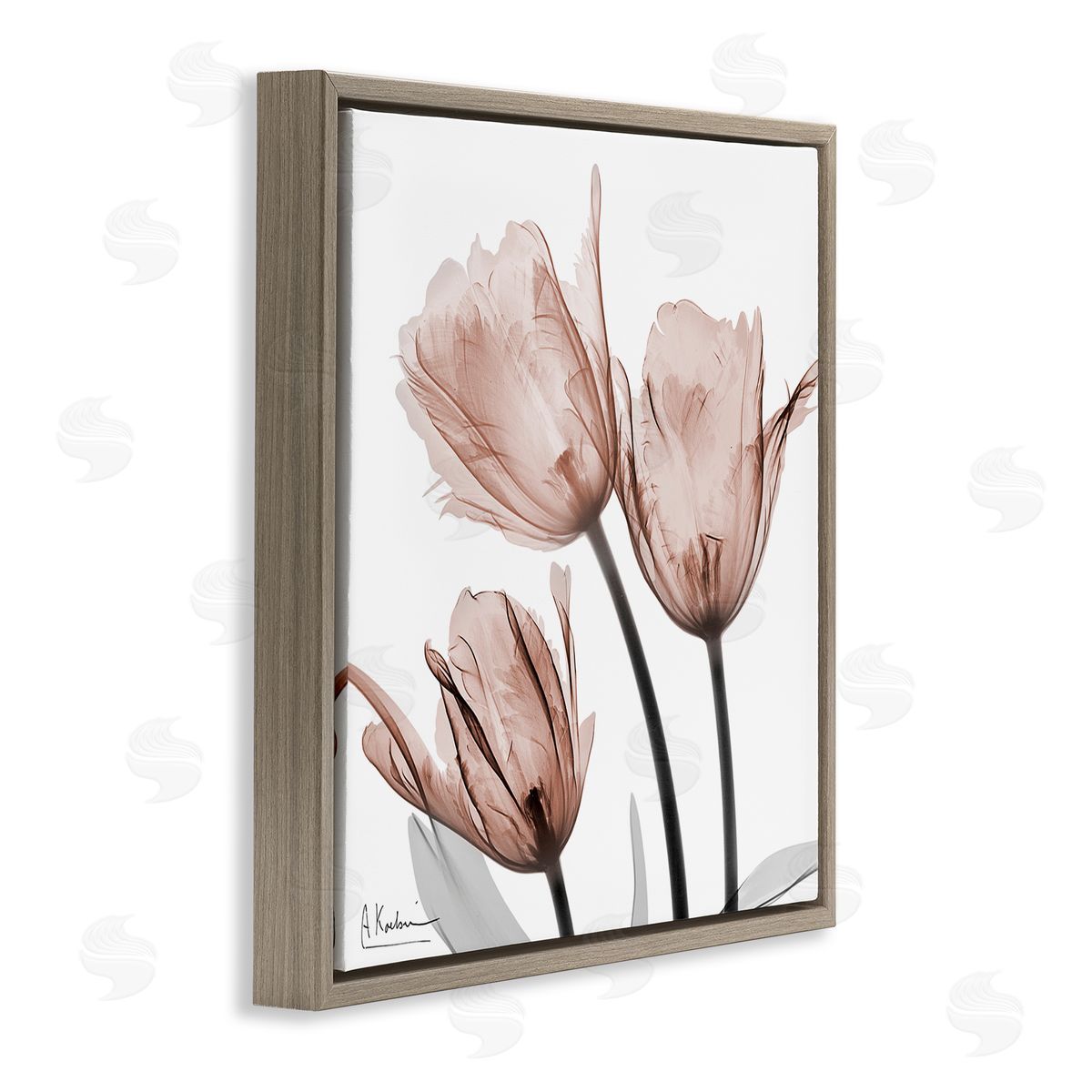 Albert Koetsier | Mocha Tulips Trio