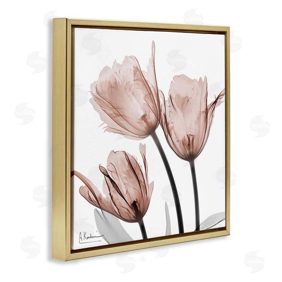 Albert Koetsier | Mocha Tulips Trio