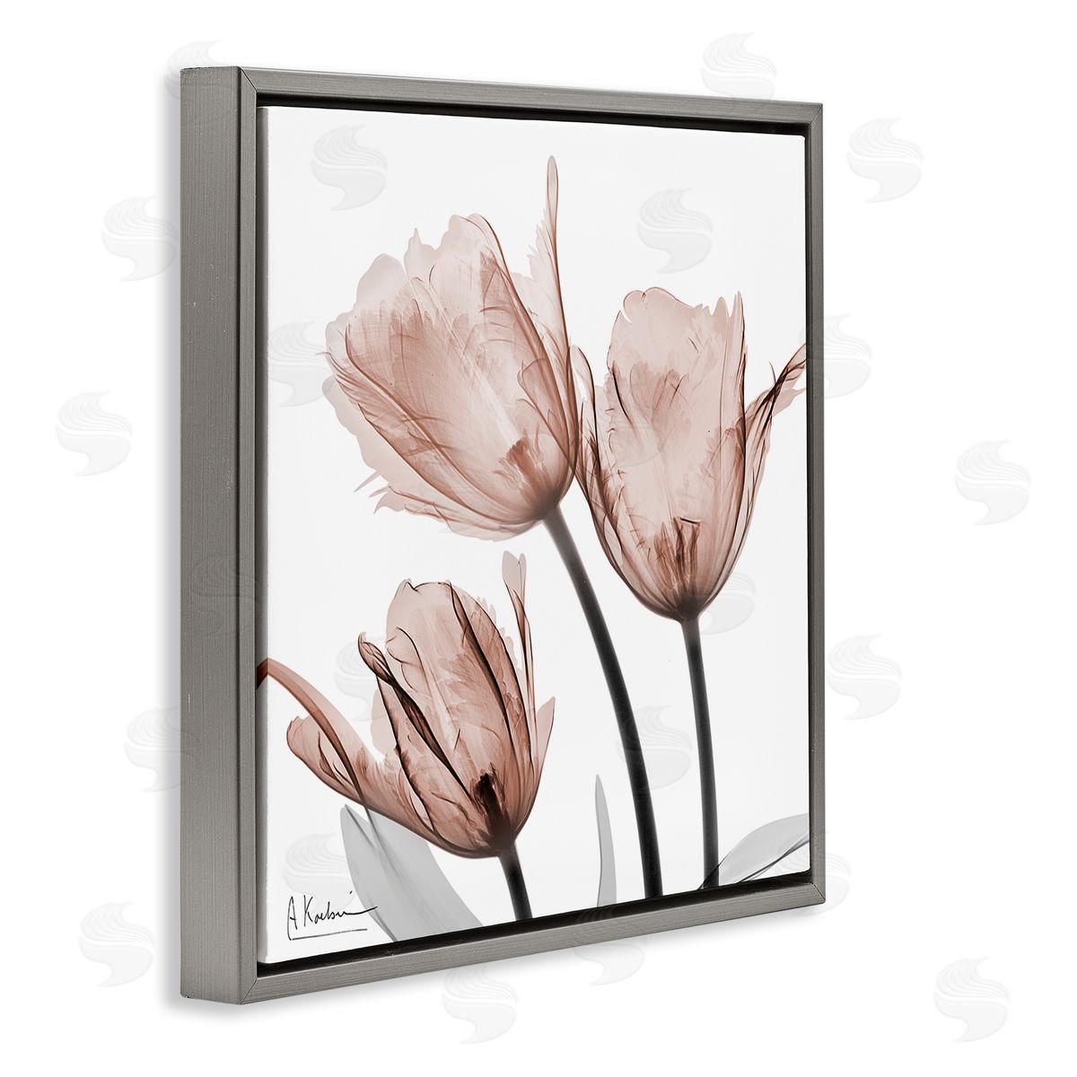 Albert Koetsier | Mocha Tulips Trio