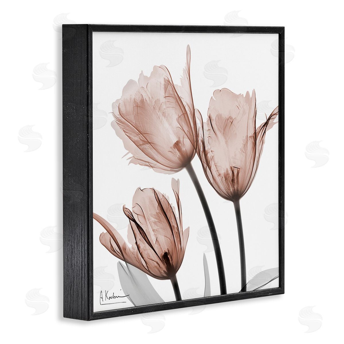 Albert Koetsier | Mocha Tulips Trio