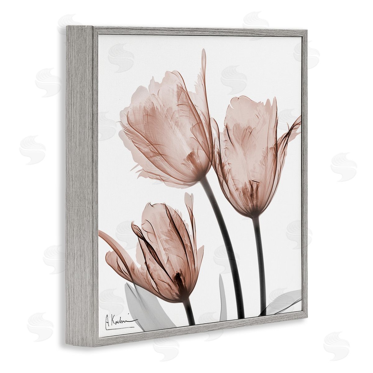 Albert Koetsier | Mocha Tulips Trio