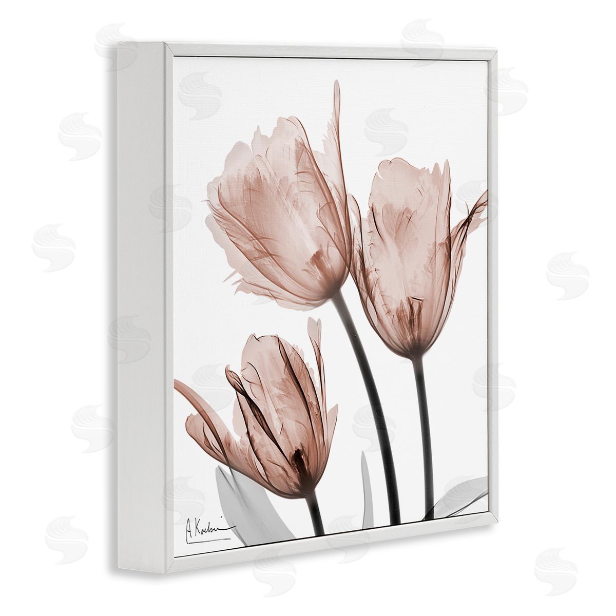Albert Koetsier | Mocha Tulips Trio