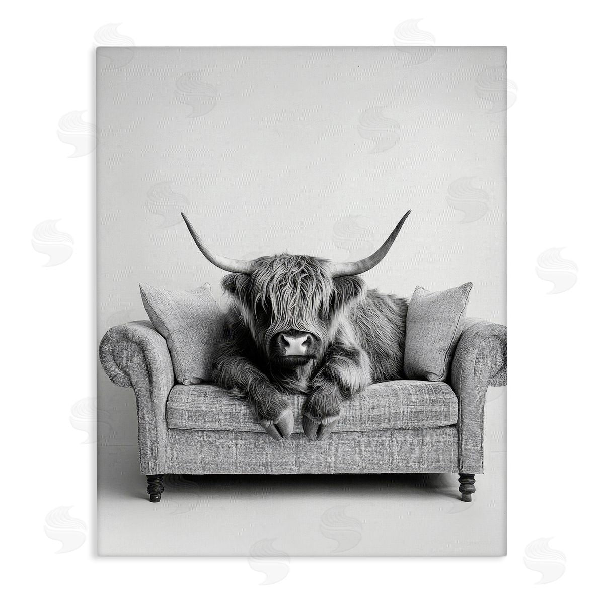 Petal Prints Design | Highland Cattle on Couch