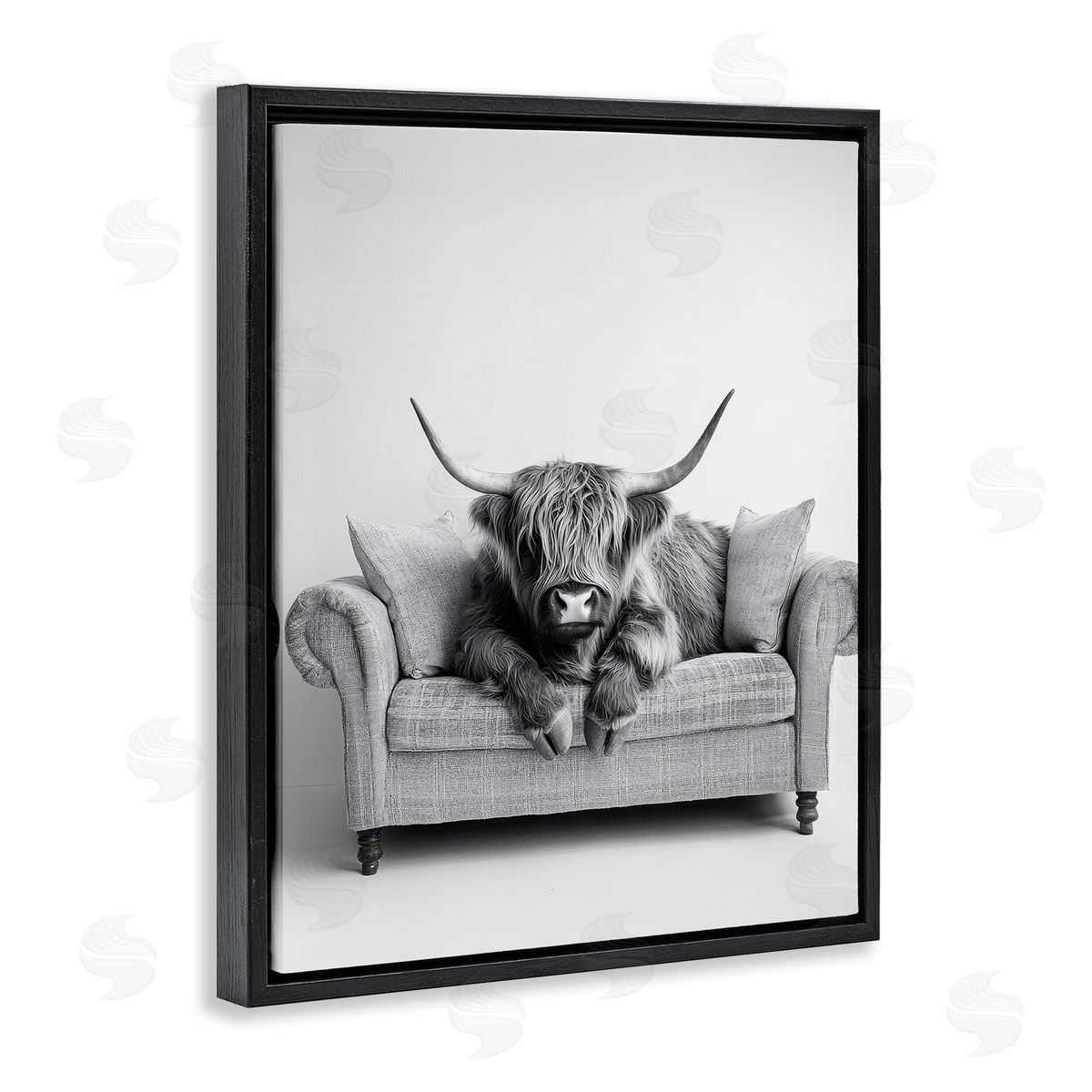 Petal Prints Design | Highland Cattle on Couch