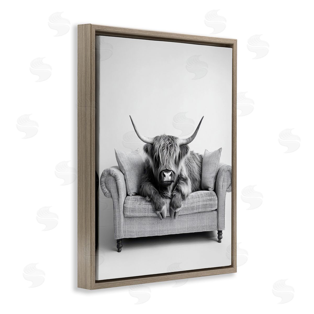 Petal Prints Design | Highland Cattle on Couch